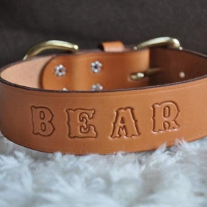 Custom Made Leather Dog Collar 1 1/2 inches Wide with Free Personalization Made to fit YOUR Dog