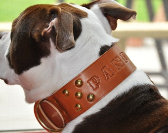 Custom Made Leather Dog Collar with Group Spots 2 inches Wide with Free Personalization Made to fit YOUR Dog