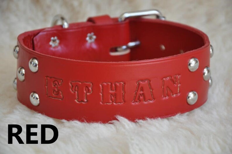 Extra Large Custom Made Leather Dog Collar with Group Spots 2 inches Wide with Free Personalization Made to fit YOUR Dog image 10