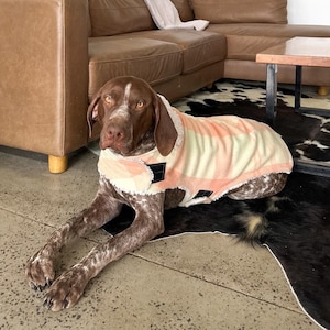 May include: A brown and white spotted dog wearing a pink and cream plaid dog coat with a white fleece lining. The dog is lying on a concrete floor. A black and white rug is in the background.