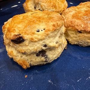 Scones - Traditional British Round Fruit scones (6)