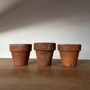 May include: Three terracotta pots, all the same size and shape, are lined up on a wooden surface. The pots are a light brown colour and have a slightly rough texture.