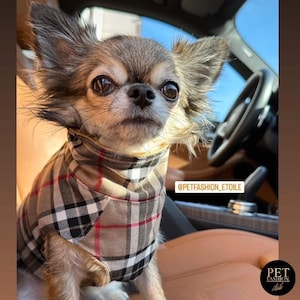 May include: A small, brown and white chihuahua dog wearing a plaid dog coat. The dog is sitting in the front seat of a car. The text "@PETFASHION_ETOILE" is visible in the image. The text "PET FASHION &eacute;toile" is also visible in the image.