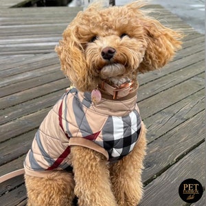 Burberry Dog Coat - Etsy