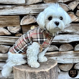May include: A small white dog wearing a brown and beige plaid dog coat with a gold buckle. The dog is sitting on a tree stump in front of a wooden wall.