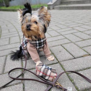 May include: A small Yorkshire Terrier dog wearing a plaid and brown sweater with a matching leash and poop bag holder.