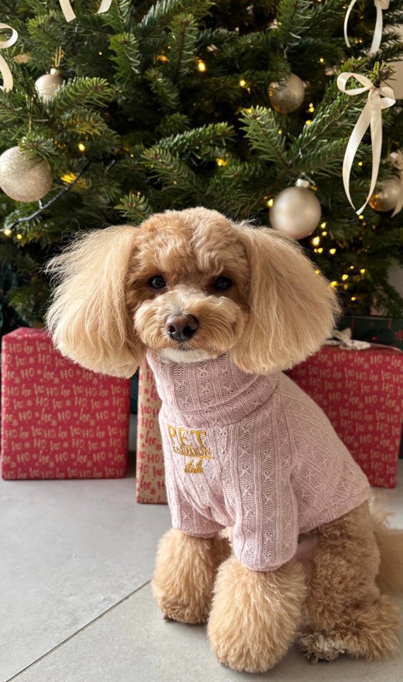 Pink Wool Dog Sweater With Turtleneck, Warm Winter Dog Sweater