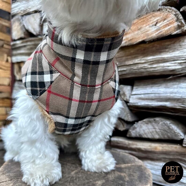 May include: A small white dog wearing a brown, black, and red plaid dog coat. The dog is sitting on a wooden surface.