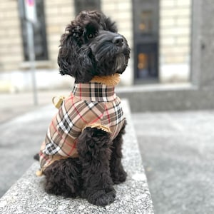 May include: A black dog wearing a brown, red, and white plaid dog coat. The dog is sitting on a stone surface.