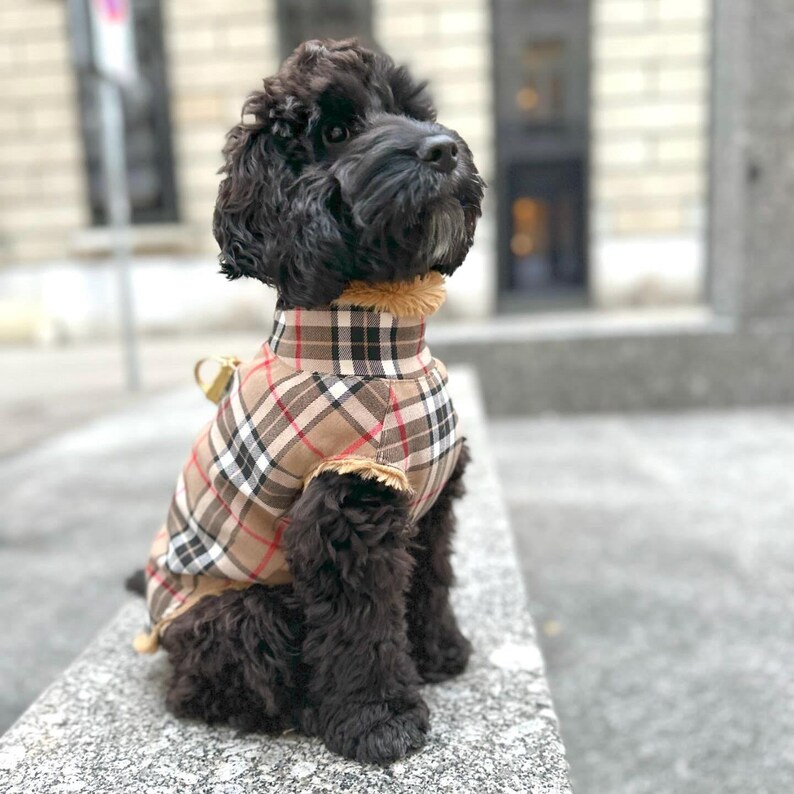 May include: A black dog wearing a brown, red, and white plaid dog coat. The dog is sitting on a stone surface.