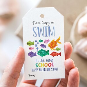 May include: A colorful Valentine's Day card with a school of fish and the text "I'm so happy we SWIM in the same SCHOOL HAPPY VALENTINE'S DAY!"