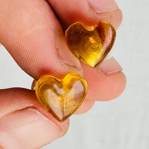 May include: Two heart-shaped amber earrings. The earrings are a warm, translucent golden color. The heart shape is clearly defined, with a smooth, polished surface. The earrings are held between fingers against a white background.