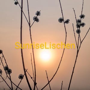 Spring sun