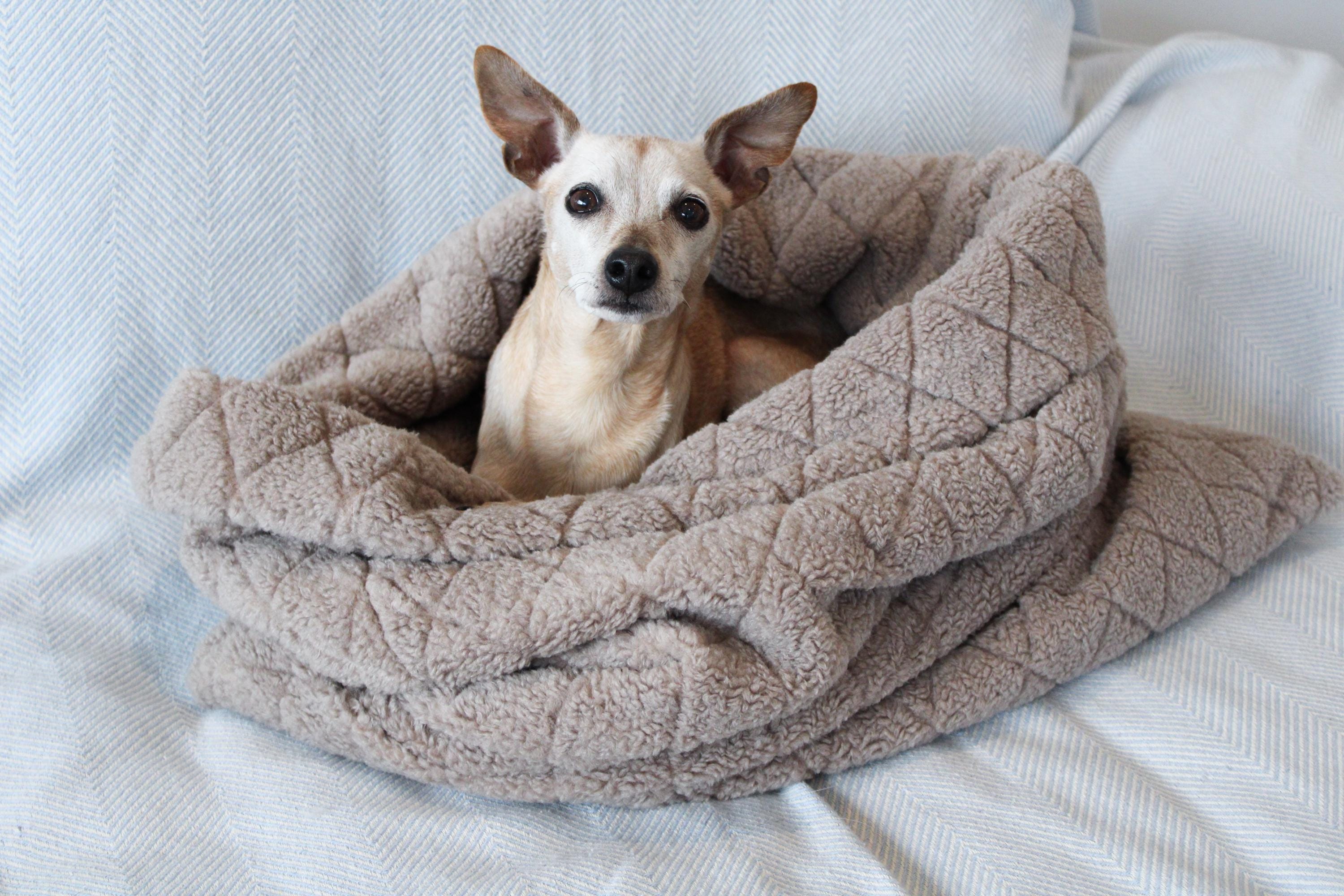 Cuddle cave • Sleeping bag for dogs • Dog bed • Cuddle sack • Mupfel • Teddy • Taupe