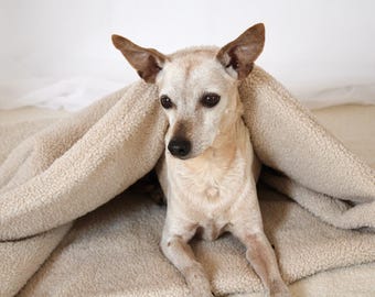 Kuschelhöhle • Schlafsack für Hunde • Mupfel • Hundebett • Kuschelsack • Teddy • Beige