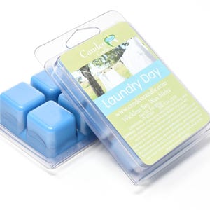 May include: Four blue wax melts in a clear plastic container. The container has a label that reads "Laundry Day" and "Wickless Soy Wax Melts".