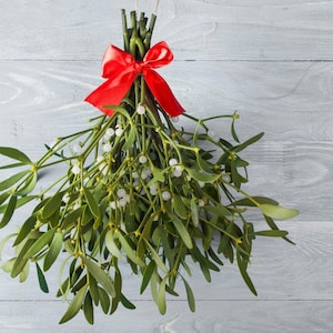 Under the Mistletoe, Soy Tea Light 12-Pack