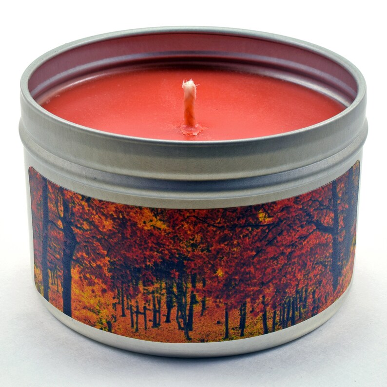 Autumn Leaves Fall Soy Candle by Candeo Candle 6 Oz Size Etsy