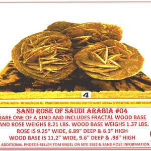 May include: A unique Sand Rose of Saudi Arabia #04 specimen, featuring a fractal wood base. The sand rose is 9.25 inches wide, 6.89 inches deep, and 6.3 inches high. The wood base is 11.2 inches wide, 9.6 inches deep, and .98 inches high.