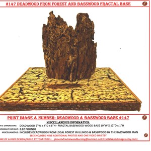 May include: A piece of deadwood from a forest, standing on a basswood fractal base. The deadwood is 6 inches wide, 4 inches deep, and 8 inches high. The base is 10 inches wide, 12 inches deep, and 1 inch high. The deadwood and base are both made of wood and have a natural, rustic look. The deadwood is a dark brown color, and the base is a light brown color. The base has a fractal pattern that is reminiscent of a tree's bark. The deadwood and base are both handcrafted and unique.