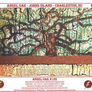 May include: A close-up of a wood-burned artwork depicting the Angel Oak tree on Johns Island, South Carolina. The artwork is 24 inches by 19 inches and is 1 inch thick. The text "Angel Oak #135" is visible in the image.