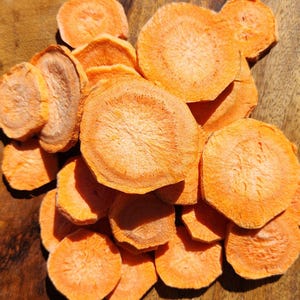 Freeze Dried Jumbo Carrots – 1.5oz Bag | All Natural, Non-GMO | Crunchy Healthy Snack and Pet Treat | Great for Soups and Smoothies