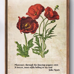 May include: A vintage botanical illustration of red poppies with green leaves and stems. The image includes a quote by John Keats: "Moreover, through the dancing poppies stole A breeze, most softly lulling to my soul."