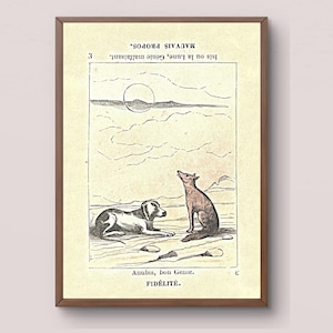Seltene französische Tarot Karte Digitaler Download | Anubis Hund Fuchs Mond Poster | Antike Fidelity Card Kunst | Vintage Orakel Karten