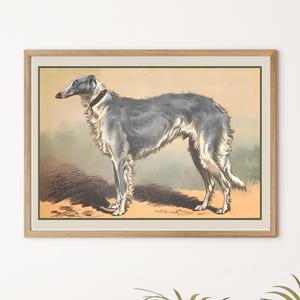 Borzoi Hound Print | Vintage French Hunting Dog Illustration | Digital Download | Antique Russian Wolfhound Art | Home Decor 5x7