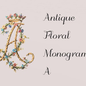 Antiek bloemenmonogram A | Botanische letterkunst | Bloemenillustratie uit de jaren 1700 | Ontwerp met gevlochten touw | Vintage alfabet | Digitale download