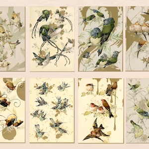 Vintage Bird Scrappy Papers | Asian Style Watercolor Nature Journal Download | Set of 8 Digital Printable Art | Ephemera Craft Supply Kit