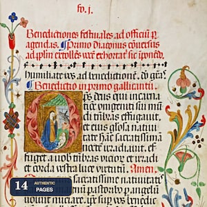 Medieval Illuminated Manuscript Prayer Book Pages | Digital Download | 14 Historical Latin Religious Text Prints | Authentic Art Collection