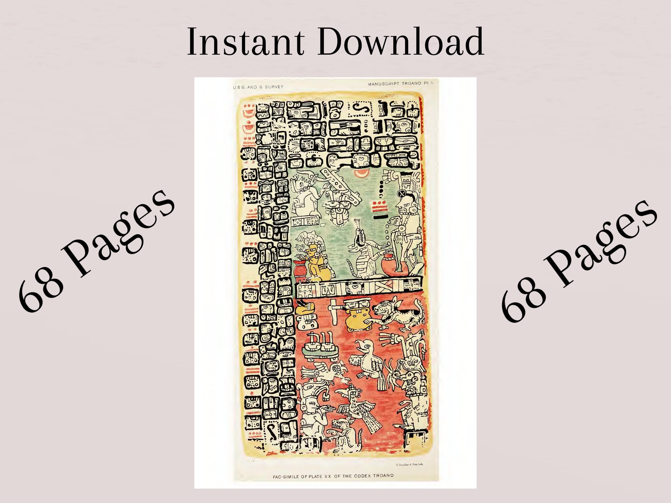 Aztec Ephemera Digital Download, Mesoamerican Codex Style Printable ...