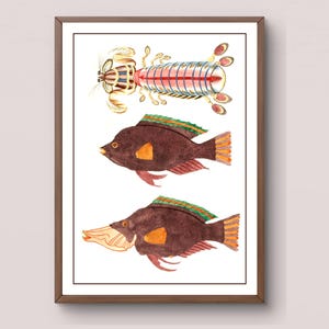 Vintage Marine Life Print | Colorful Tropical Fish Mantis Shrimp Art | Digital Download Wall Decor | Coastal Beach Home