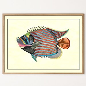 Striped Tropical Fish Digital Art | Vintage Marine Biology Print | Antique Ocean Life Illustration | Scientific Wall Decor Download