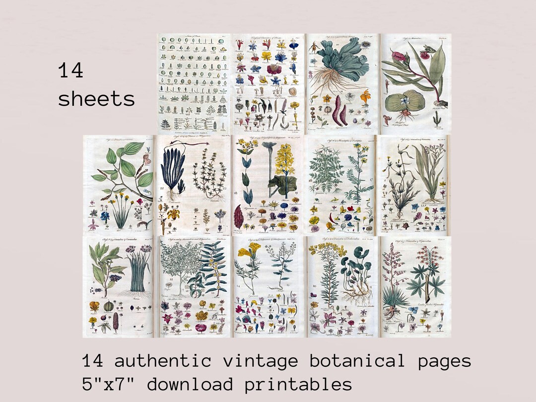 Vintage Botanical Junk Journal Ephemera Pack | Pages, Printable Collage ...