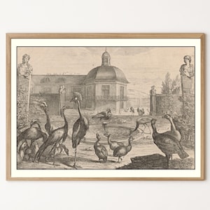 Antique Aviary Palace Garden Print | Vintage Bird Menagerie Lithograph | Digital Download | 5x7 Wall Art | 300 DPI