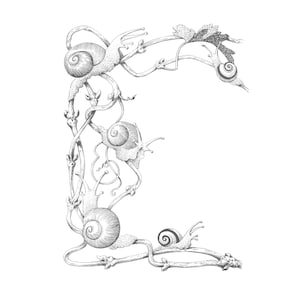 Vintage escargot bordure Illustration PNG, fond Transparent dessin, téléchargement numérique, album de scrapbooking, carnet de fabrication de cartes, fichier Clip Art
