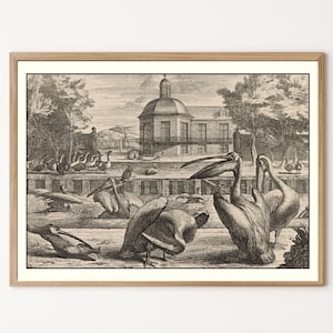 Vintage Pelican Estate Collection | Antique Aviary Lithograph | Digital Download | Palace Garden Print | 5x7 Wall Art | 300 DPI