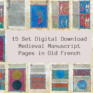 Può includere: Un set di download digitale di 15 pagine di manoscritti medievali in francese antico. Le pagine presentano illustrazioni colorate con accenti rossi, blu e oro. Il testo è in inchiostro nero su pergamena invecchiata.