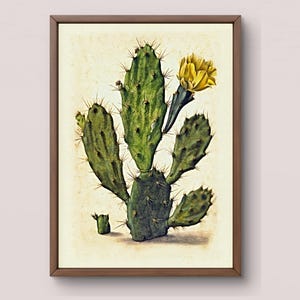 Cactus Botanical Poster Printable | Vintage Desert Plant Art | Digital Download | Prickly Pear Yellow Flower | Home Wall Decor
