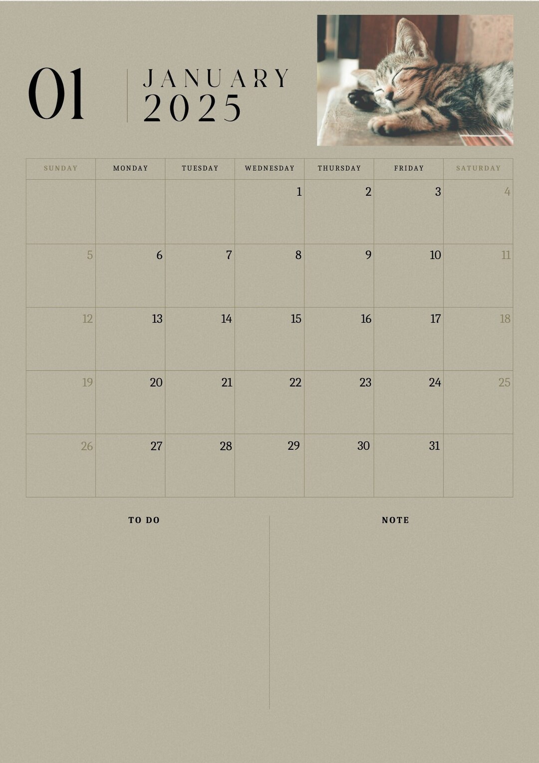 2025 Cat Calendar Printabledigital Download Etsy