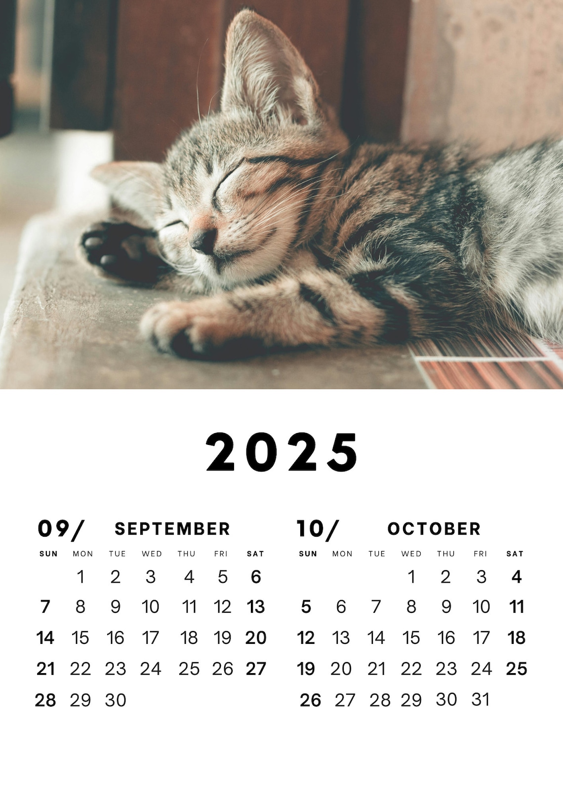 2025 Digital Download-calendar-cat - Etsy
