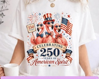 Patriottische flamingo 250 jaar Amerikaanse geest PNG, grappig ontwerp voor een shirt voor 4 juli, Amerikaans vogelcadeau, afbeelding voor een T-shirt voor Onafhankelijkheidsdag downloaden