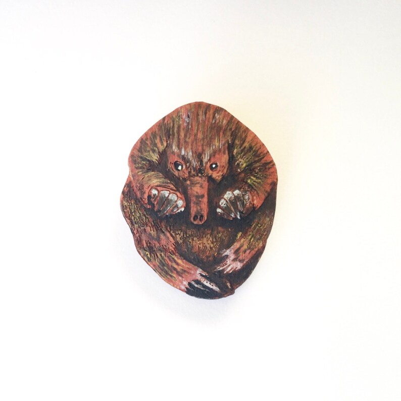 Puggle Echidna Brooch Australian Animal Art Wildlife Jewellery Etsy