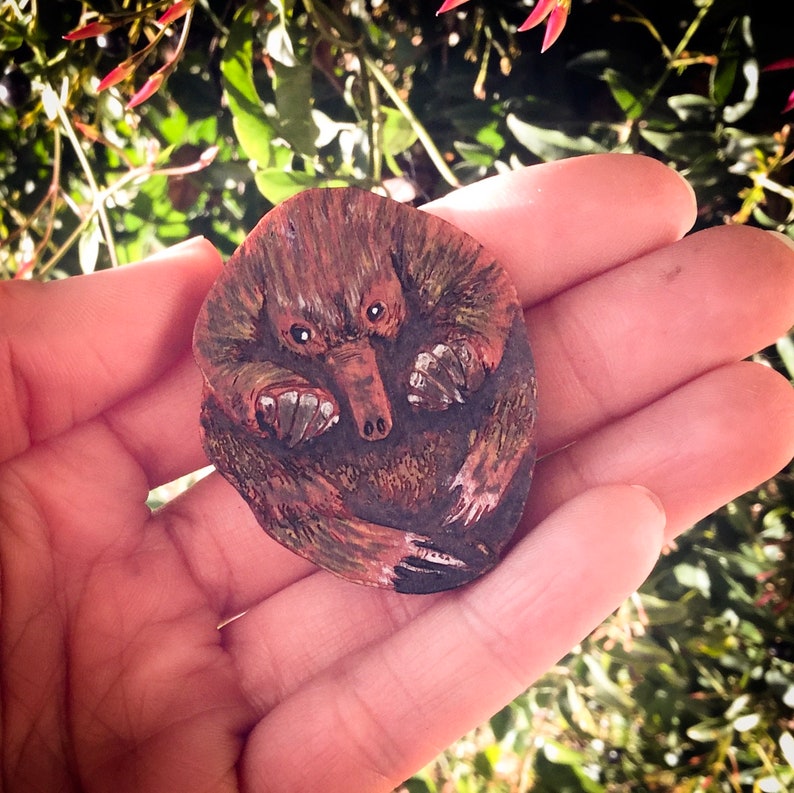 Puggle Echidna Brooch Australian Animal Art Wildlife Jewellery Etsy