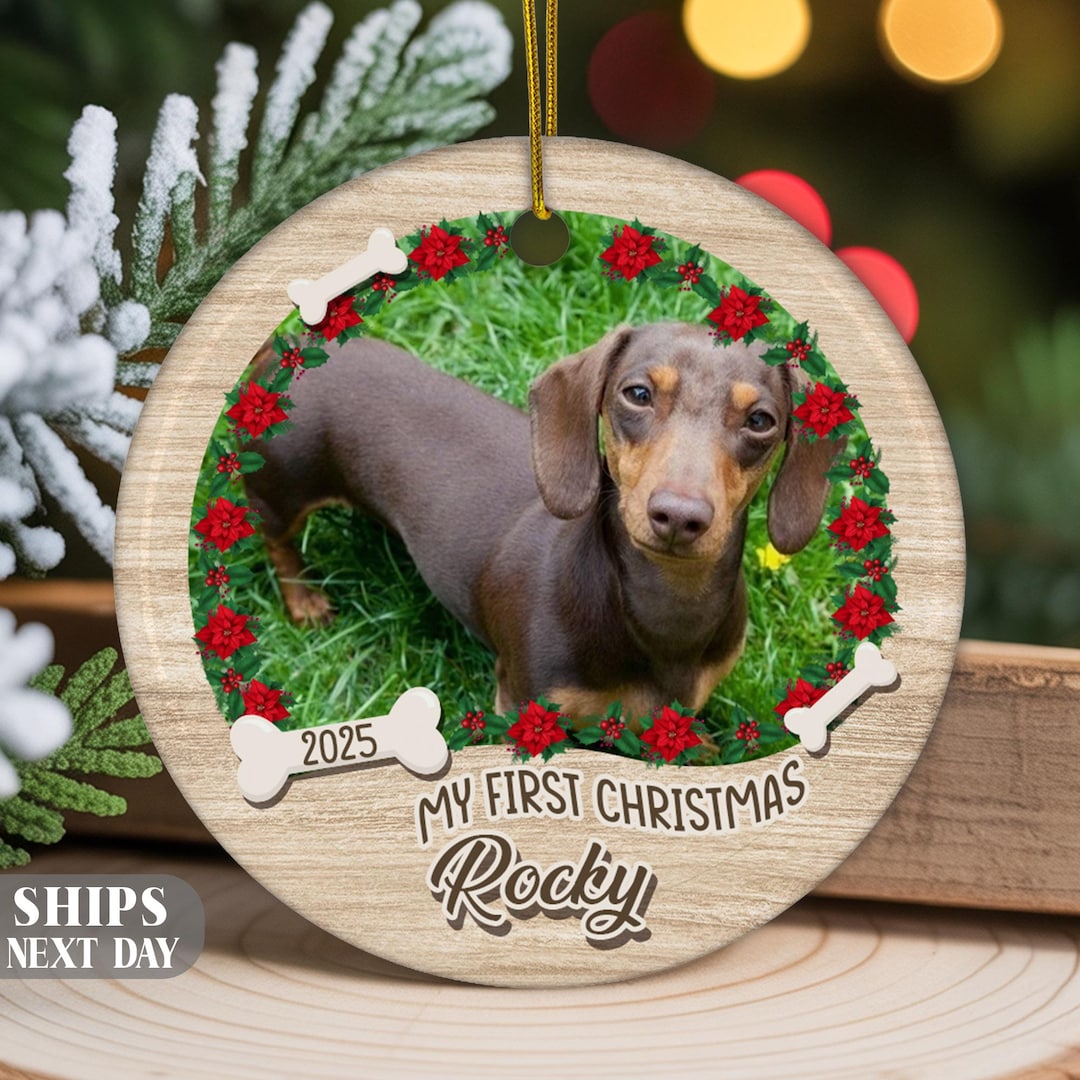 Custom Pet Christmas Ornament, Dog Cat Ornament Gift, Personalized Pet — free download