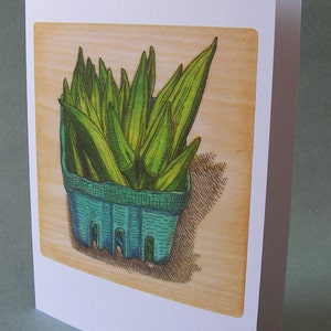 2 CARDS A009 OKRA / 5 x 7 Notecards / vegetable card / vegetable art / foodie / cooking gift / farmers market / food illustration / south image 1