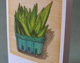2 CARDS - A009 OKRA / 5 x 7 Notecards / vegetable card / vegetable art / foodie / cooking gift / farmers market / food illustration / south