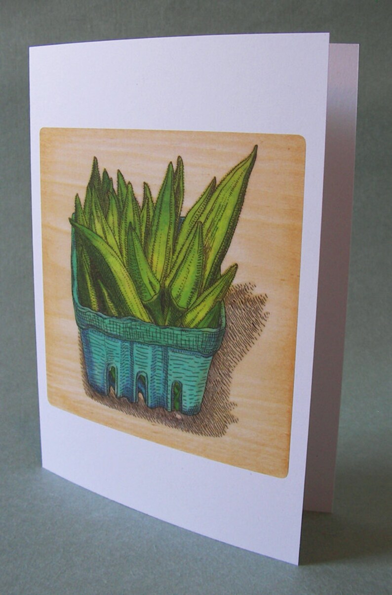 2 CARDS A009 OKRA / 5 x 7 Notecards / vegetable card / vegetable art / foodie / cooking gift / farmers market / food illustration / south image 1